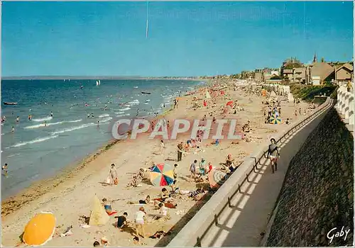 Cartes postales moderne Lion sur Mer (Calvados) la Plage