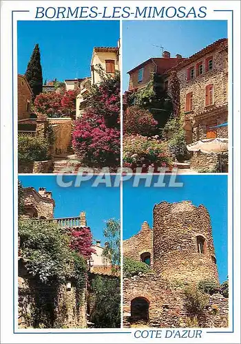 Cartes postales moderne Bormes les Mimosas (Var) Vieilles Ruelles Fleuries la Cote d'Azur