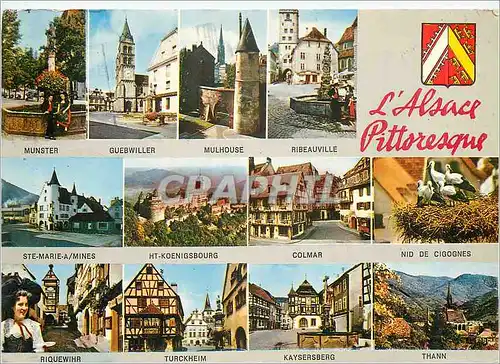 Moderne Karte L'Alsace Pittoresque Munster Guebwiller Mulhouse Ribeauville Colmar Nid de cigognes