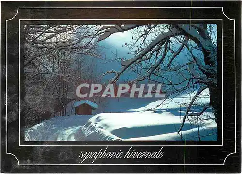 Cartes postales moderne Symphonie Hivernale Neige et Soleil