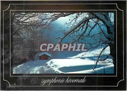 Moderne Karte Symphonie Hivernale Neige et Soleil