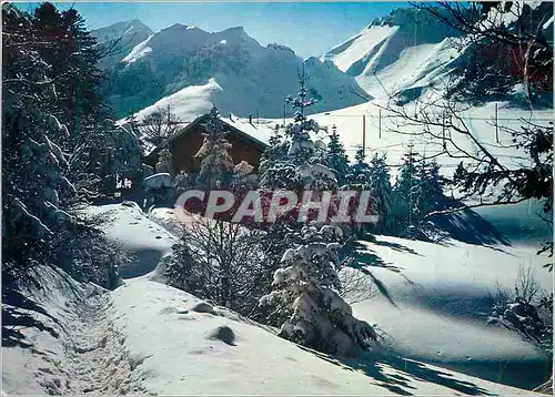 Cartes postales moderne Sport d'Hiver en Auvergne Le Chalet du Club alpin au pied du Sancy (1886 m)