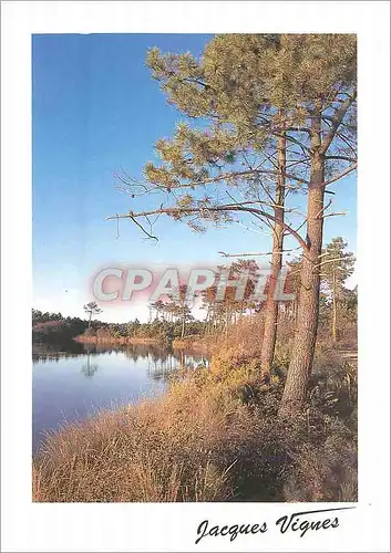 Cartes postales moderne Le Lac Le Lac s'etale bleu aux Frissons de l'ete Un Leger Friselis seul Ride son Sourire
