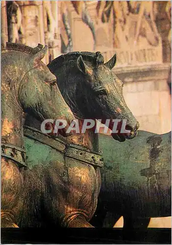 Cartes postales moderne Paris Grand Palais Exposition Les Cheveaux de Saint Marc Venise du 10 avril au 10 aout 1981