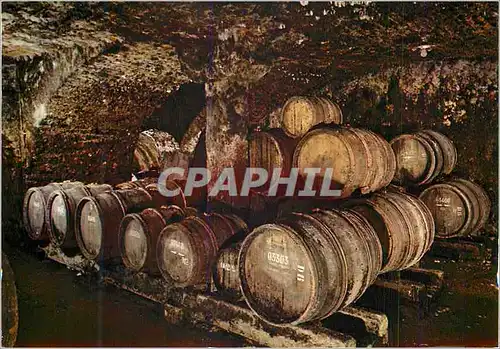 Cartes postales moderne Beaune France Plaisir d'une Visite aux Caves Exposition de la Reine Pedauque Une Cellier de Viei