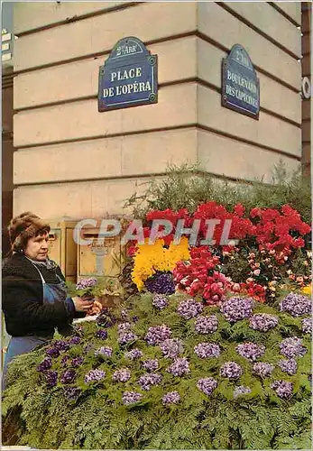 Cartes postales moderne Paris Une Marchande de Fleurs sur la Place de l'Opera