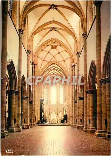Cartes postales moderne Colmar (Haut Rhin) La Cathedrale Saint Martin (XIIIe et XIVe Siecles)