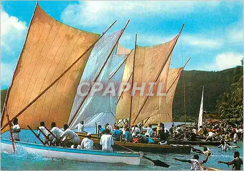 Cartes postales moderne Martinique Course de Yotes au Marin depart d'une Course a la Misaine Bateau