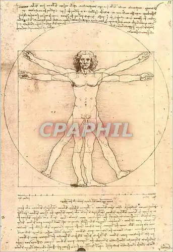 Cartes postales moderne Parigi Museo Del Louvre Gab Disegni e Stampe Leonardo Schema delle Proporzioni del Corpo Umano