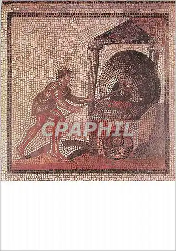 Cartes postales moderne Saint Germain en Laye Musee des Antiquites Nationales Mosaique de Saint Romain en Gal (Rhone) Le