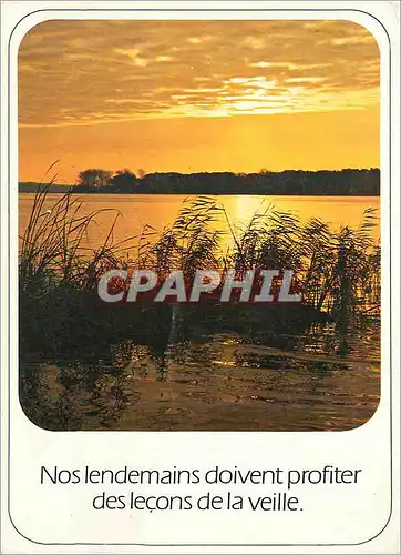 Cartes postales moderne Nos Lendemains doivent profiter des Lecons de la Veille