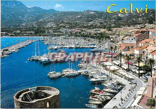 Moderne Karte Souvenir de Calvi Corse Ile de Beaute Bateaux