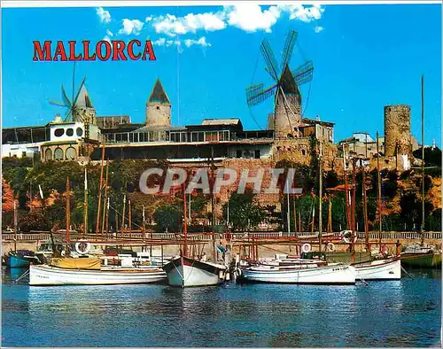Moderne Karte Palma de Mallorca Paseo Maritimo desde Interior Puetro La Promenade Maritime depuis le Port Bate