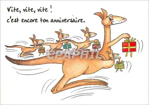 Cartes postales moderne Vite vite vite C'est encore ton Anniversaire Dromadaire