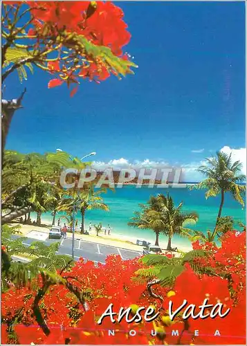 Cartes postales moderne Nouvelle Caledonie Anse Vata Noumea