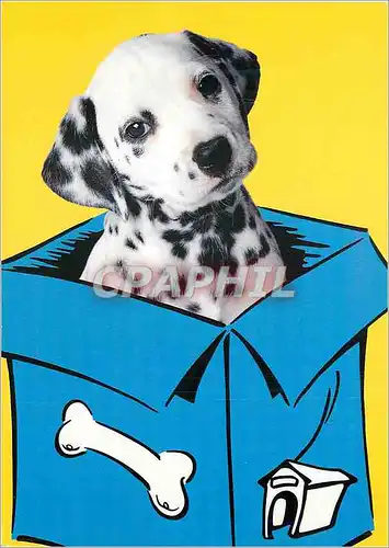 Moderne Karte Disney Chromovague Walt Disney Dalmatien