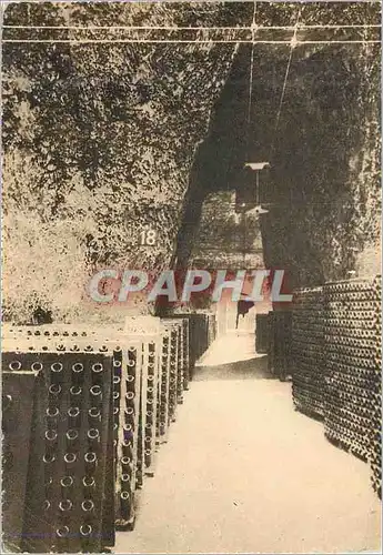 Cartes postales moderne Reims Champagne Pommery et Greno A Gallo Roman Chalk Pit