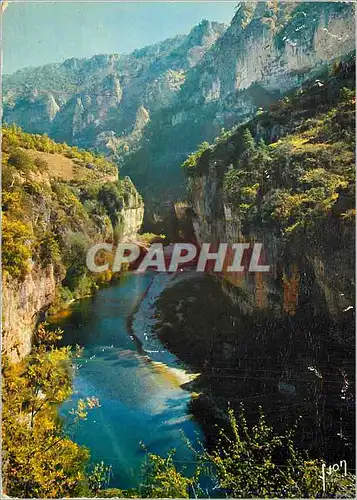 Cartes postales moderne Gorges du Tarn (Lozere) Couleurs et Lumiere de France Le Tarn aux Detrois