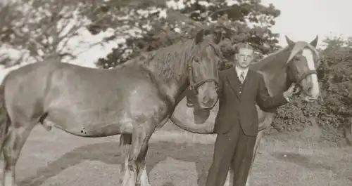 vier tolle alte Negative junger Mann mit seinen Pferden  ? - 1910-30 ?? Ort ??