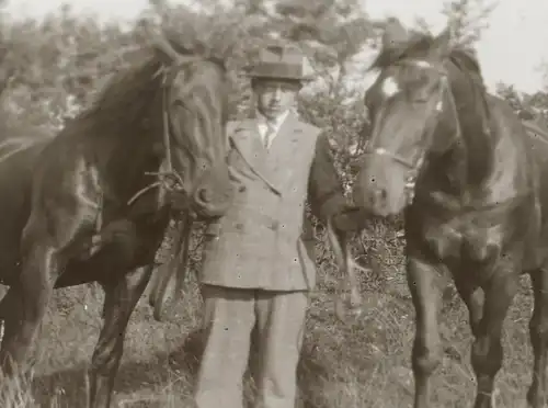 vier tolle alte Negative junger Mann mit seinen Pferden  ? - 1910-30 ?? Ort ??