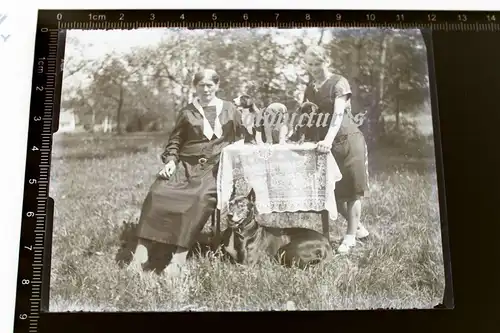 tolles altes Glasnegativ - zwei Frauen mit Hund und süßen Welpen    - 1920-30 ?