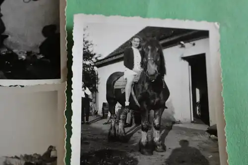 Drei tolle alte Fotos - Pferde - Person auf Pferd und auf Koppel - 30-50er Jahre