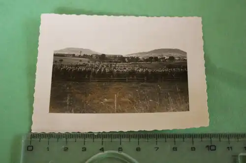 interessantes altes Foto - Soldaten auf Ehrenfriedhof - Manshoven ??