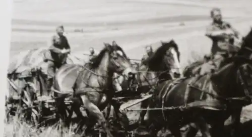 tolles altes Foto - Russland 1941 - Pferdefuhrwerk wird auf Hang getrieben