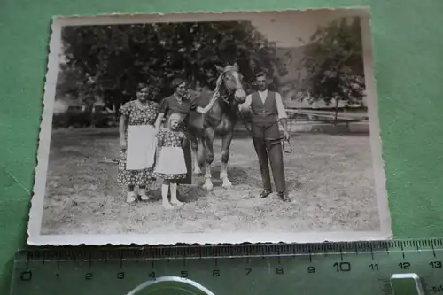 tolles altes Foto - Familie mit ihrem Pferd - 20-30er Jahre