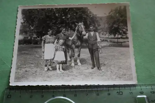 tolles altes Foto - Familie mit ihrem Pferd - 20-30er Jahre 