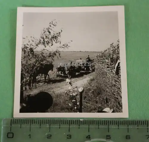 tolles altes Foto - Soldaten mit Geschütz auf Vormarsch in Russland  Dr. Seifert