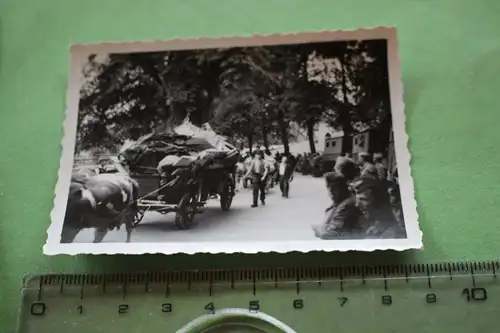 interessantes altes Foto - Flüchtlinge mit Pferd und Wagen - 1940