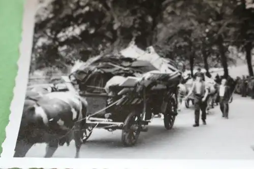 interessantes altes Foto - Flüchtlinge mit Pferd und Wagen - 1940