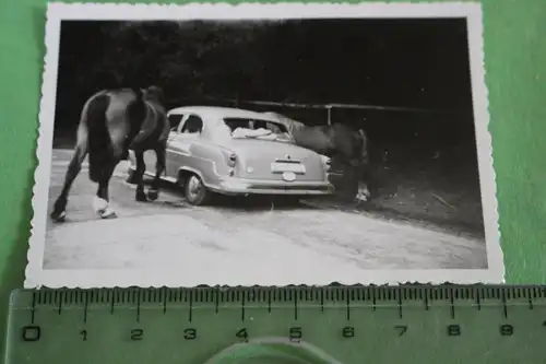 tolles altes Foto - Oldtimer mit zwei Pferden - Sommer 1958