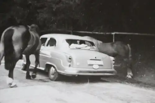 tolles altes Foto - Oldtimer mit zwei Pferden - Sommer 1958