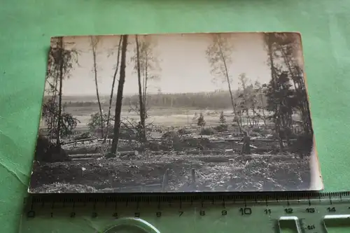 tolles altes Foto - Soldaten am Holzfällen - Hintergrund Schützengräben ???