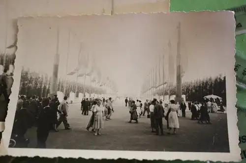 zwei tolle alte Fotos - Allee mit Flaggen mit vers. Stadtwappen