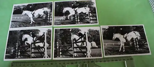 fünf tolle alte Fotos - Springreiten - Fotoserie Schimmel überspringt 60-70er Ja