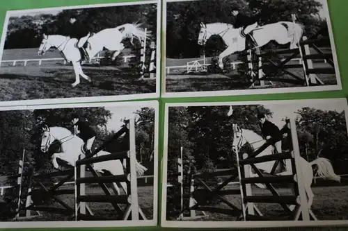 fünf tolle alte Fotos - Springreiten - Fotoserie Schimmel überspringt 60-70er Ja