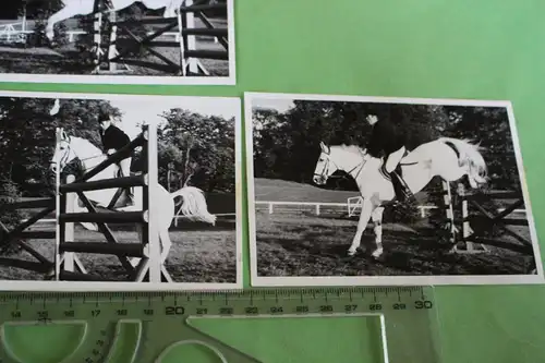 fünf tolle alte Fotos - Springreiten - Fotoserie Schimmel überspringt 60-70er Ja