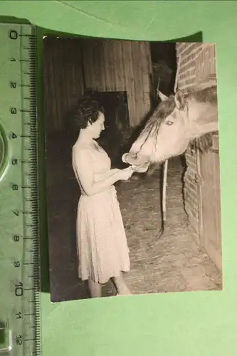 tolles altes Foto - Frau füttert Pferd 