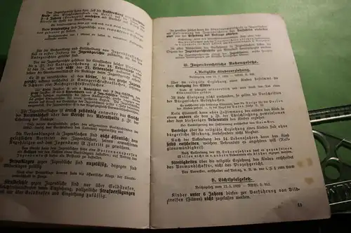 tolles altes Heft - Grundsätze des Jugendrechts, Familienrechts usw. 1928