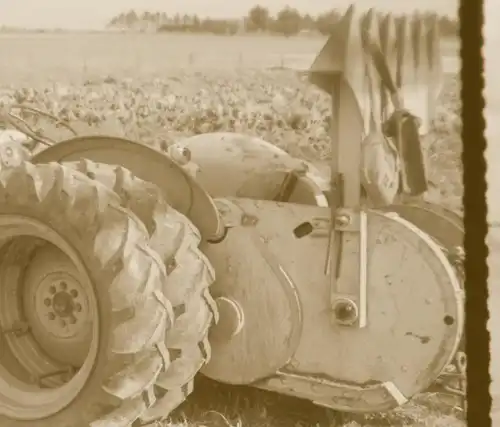 vier tolle alte Negative - Ford Schlepper mit Zwillingsbereifung 50-60er Jahre ?