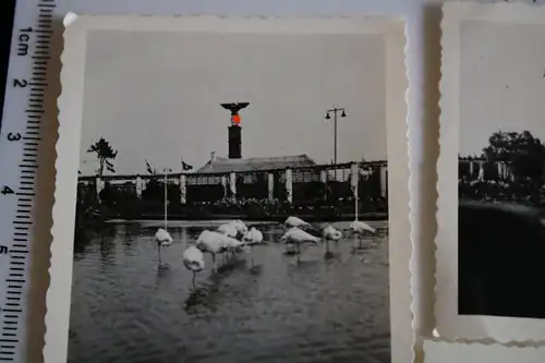 vier tolle alte Fotos - Ausstellung ?? Gebäude ?? 30-40er Jahre