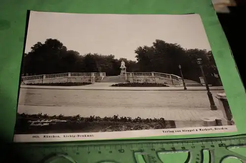 tolles altes großes Foto - München - Liebig-Denkmal -  1893