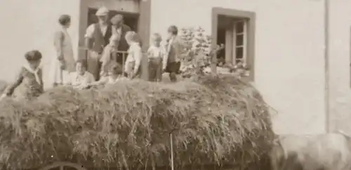 tolles altes Glasnegativ - Heuwagen vor Gastwirtschaft Josef Bohnen, Schmidtheim