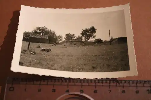 interessantes altes Foto -  Bunker  ???  auf einer Weide ?