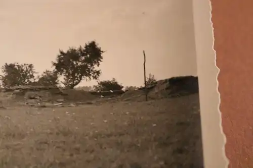 interessantes altes Foto -  Bunker  ???  auf einer Weide ?