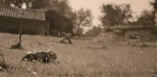 interessantes altes Foto -  Bunker  ???  auf einer Weide ?