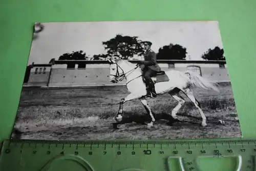 tolles altes Foto - Soldat auf einem Schimmel - 30-40er Jahre